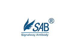 SAB
