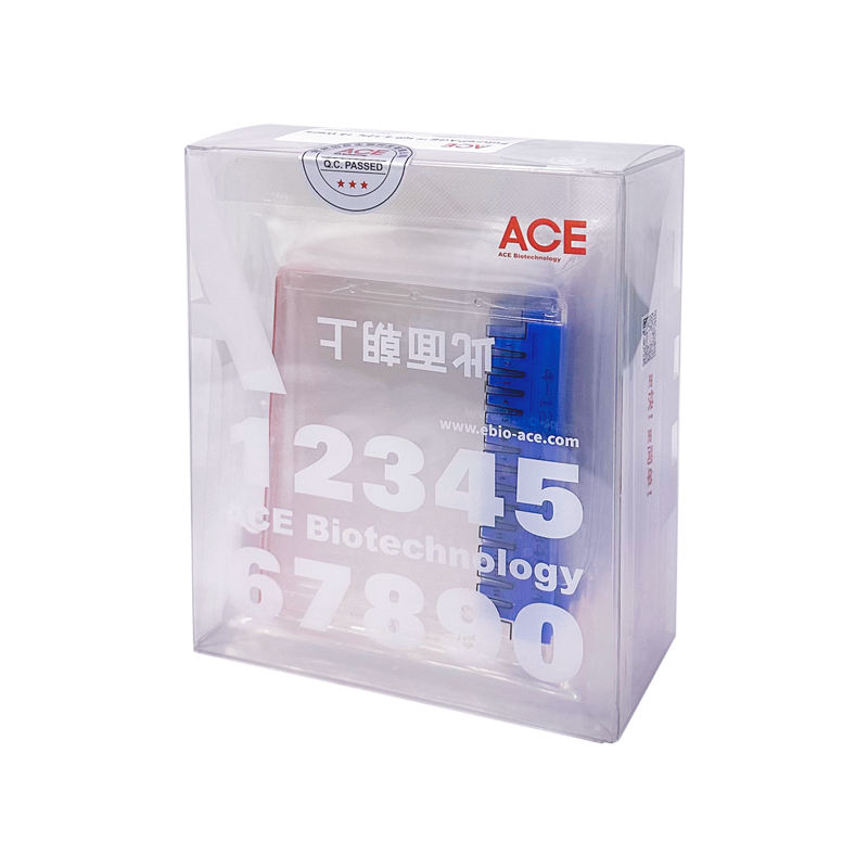 FuturePAGE® HP 蛋白预制胶
