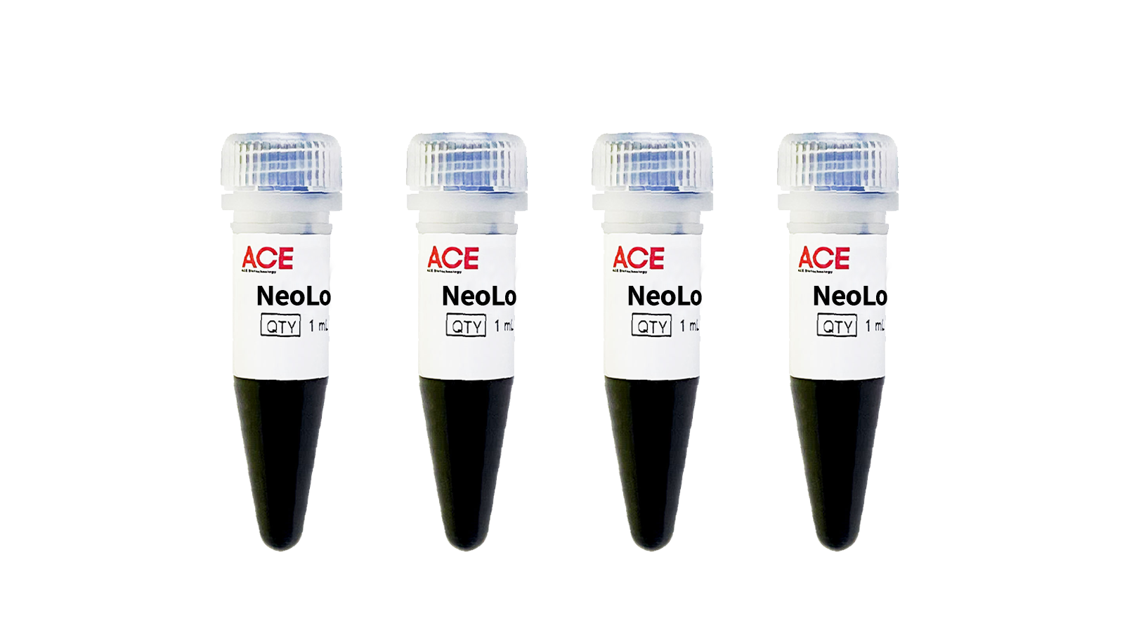 NeoLoad™通用型蛋白上样缓冲液（5×
