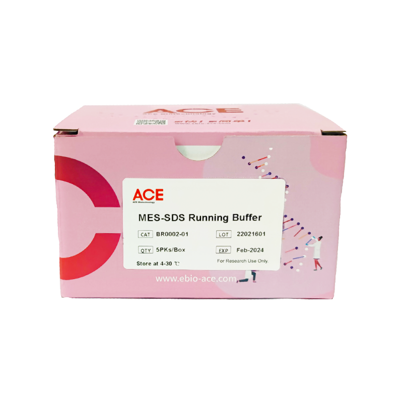 MES-SDS Running Buffe