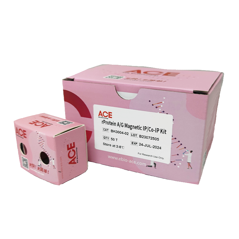 rProtein A/G Magnetic IP/Co-IP K