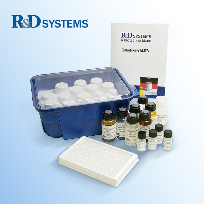 Human IL-4 Valukine ELISA Kit