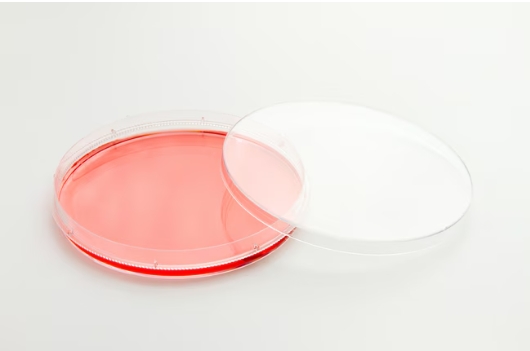 Nunc™ EasYDish™ 培养皿