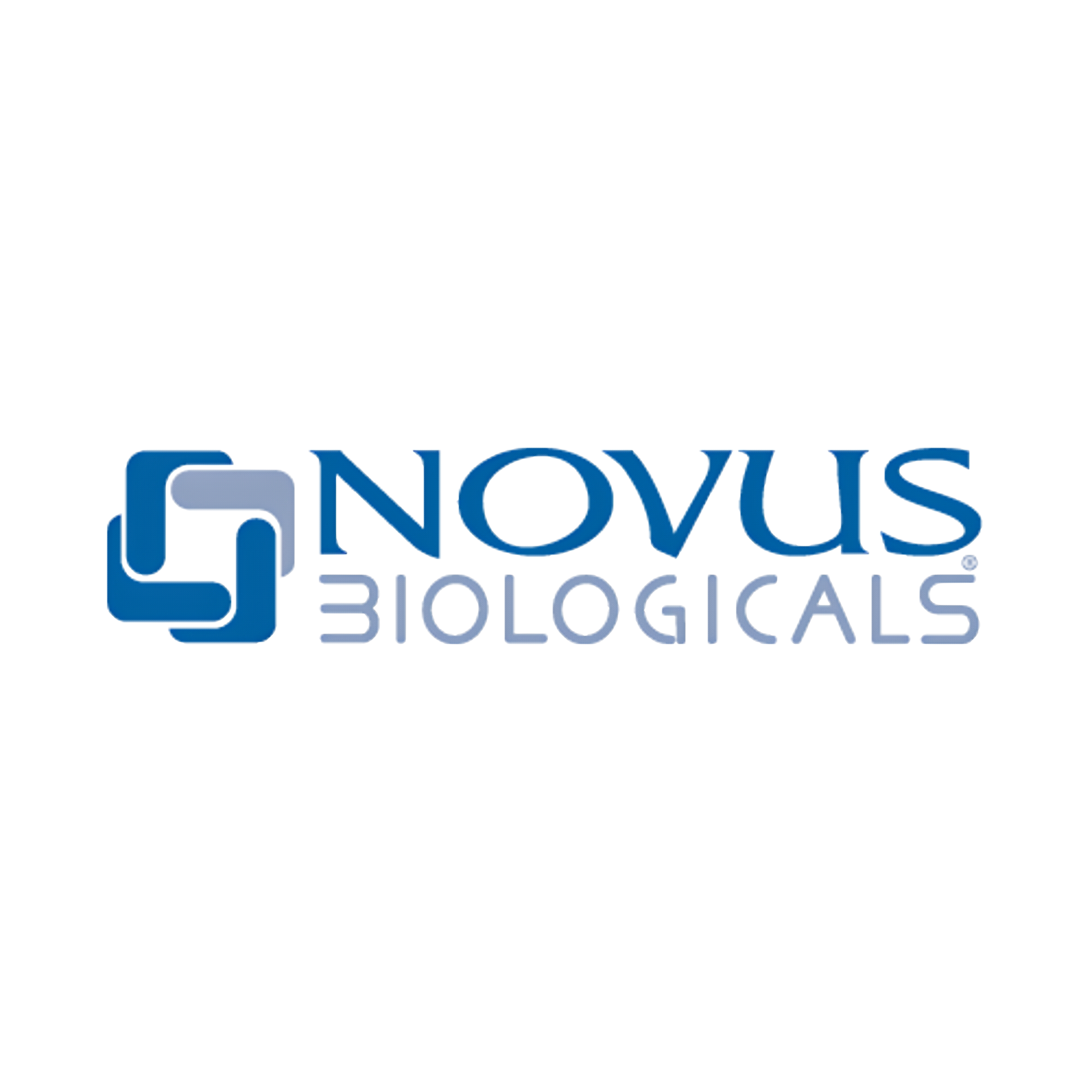 beta Amyloid Antibody (MOAB-2) - BSA Free