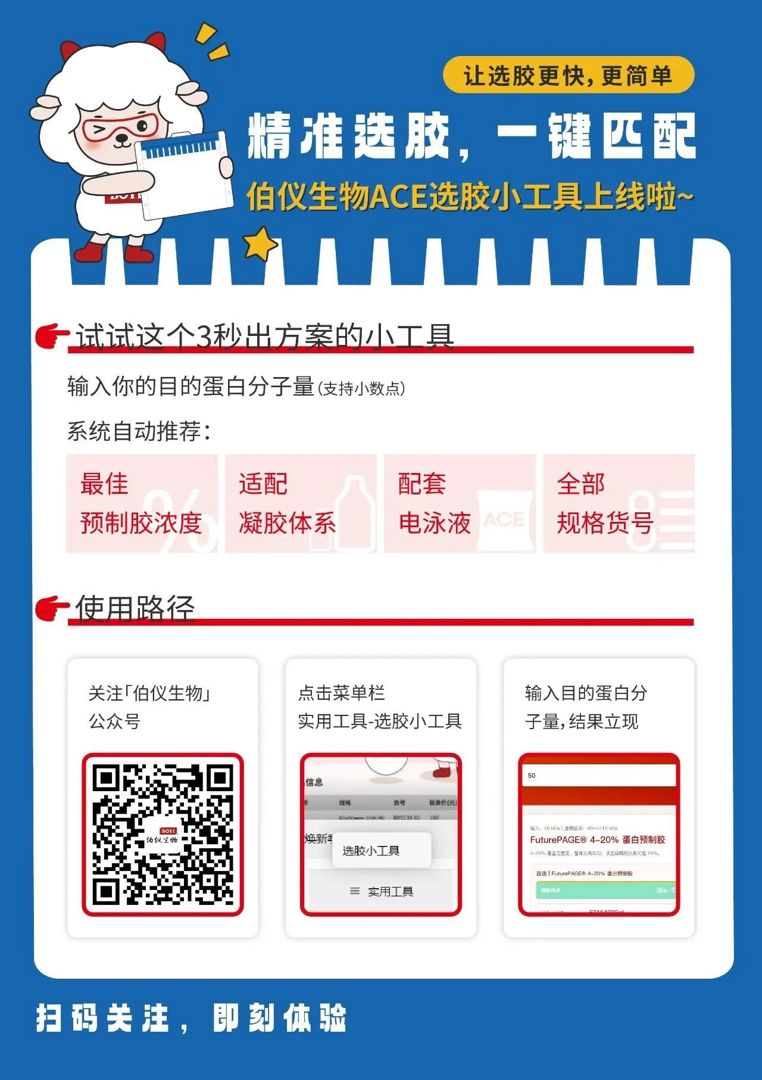 ACE预制胶 | 选胶小工具上线啦！
